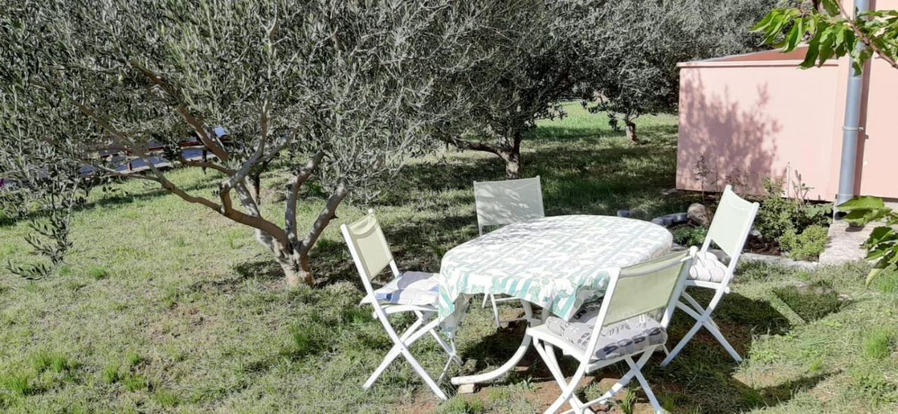 Appartement Dani à Zadar Extérieur photo