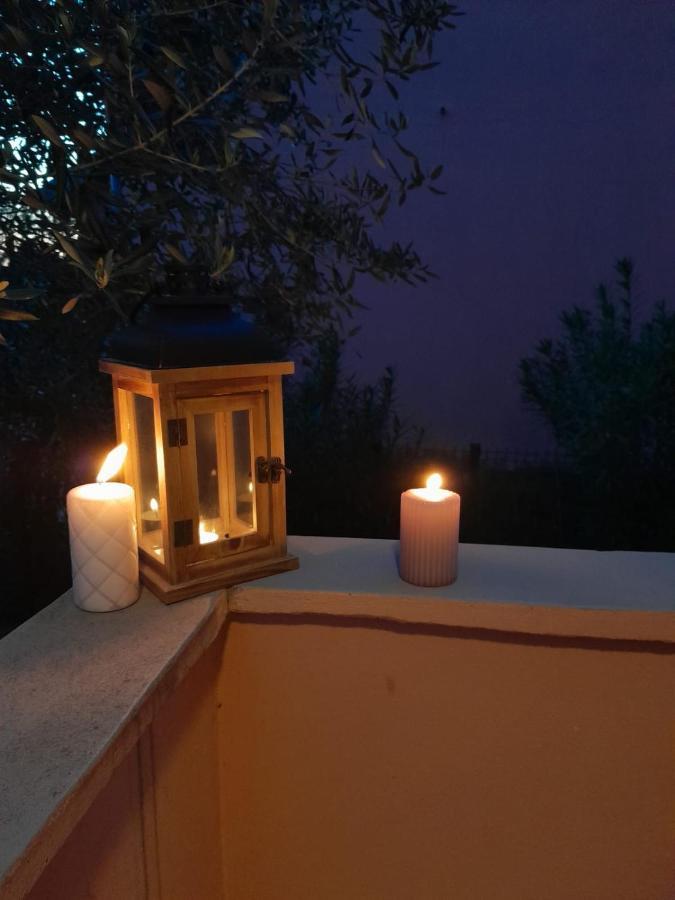 Appartement Dani à Zadar Extérieur photo