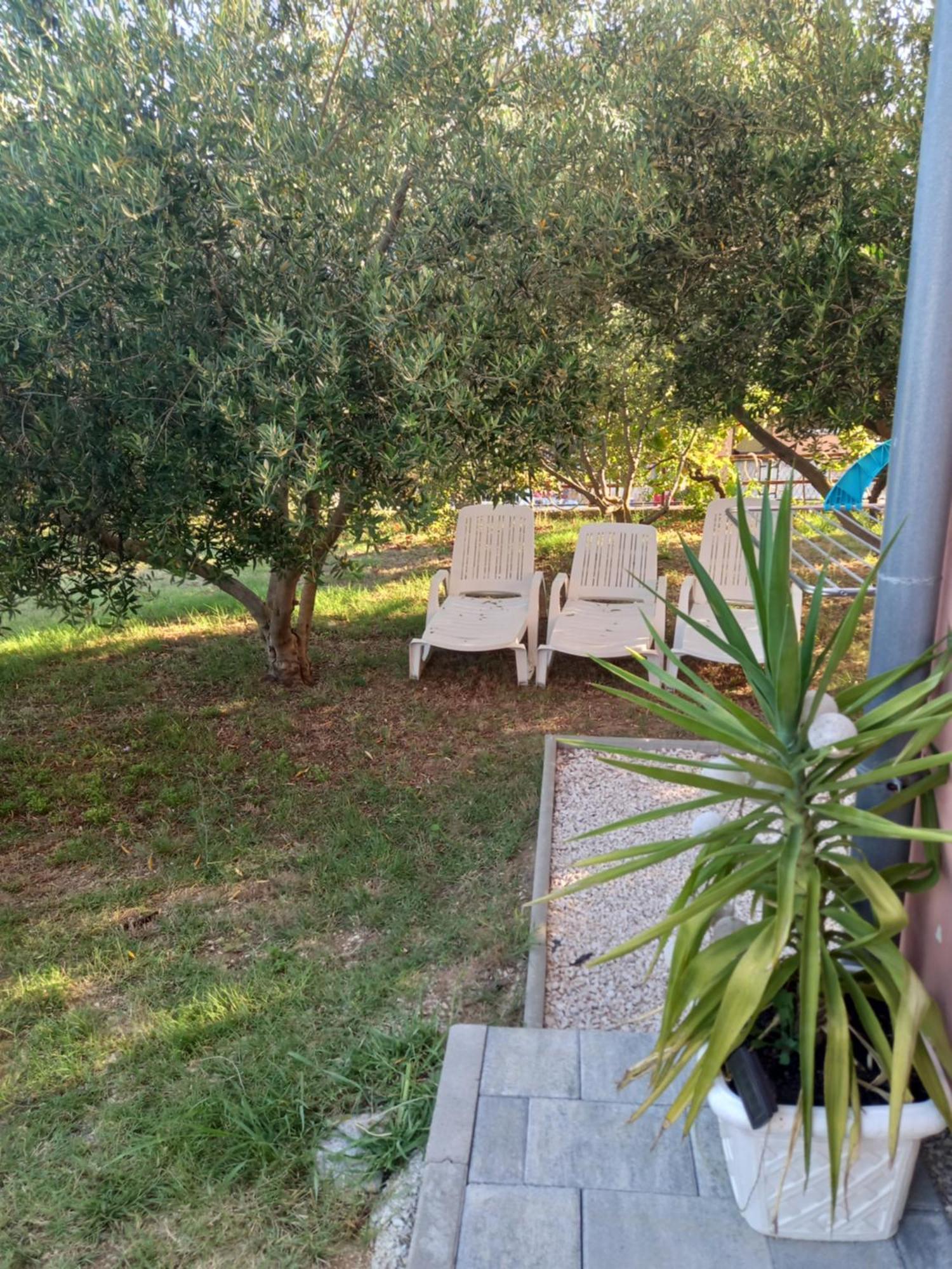 Appartement Dani à Zadar Chambre photo